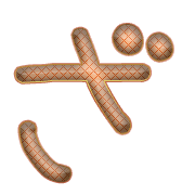 061