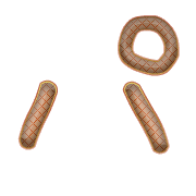 156