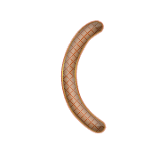 234