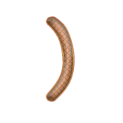 235