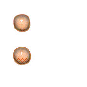 244