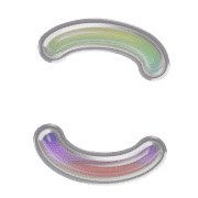 010