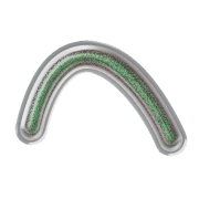 029