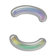 010