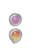 243