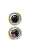 244