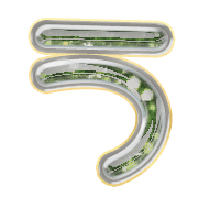 003