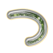 018