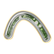 029