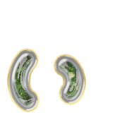 048