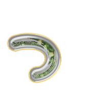 052