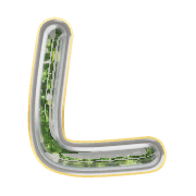 173