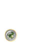 246