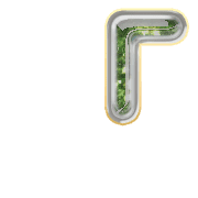 254