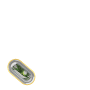 256