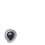245