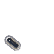 256