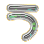 003