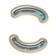 010