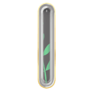 242