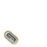 256