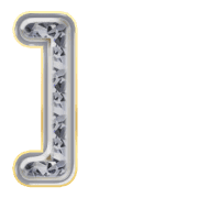 241
