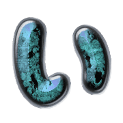 002