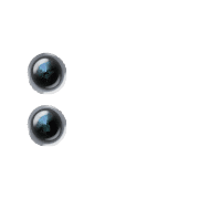 244