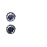 244