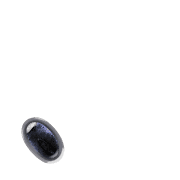256
