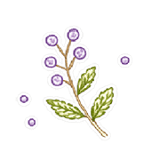 019