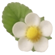 032