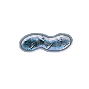 224