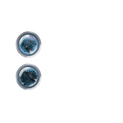 244