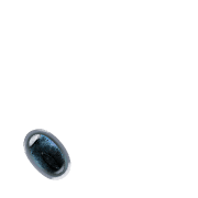 256