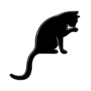 005