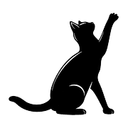 031