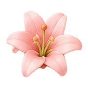 019