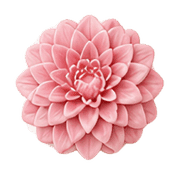 033