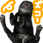 005