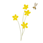 031