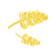 038