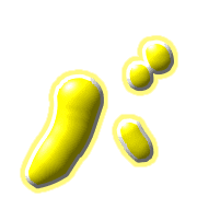 151