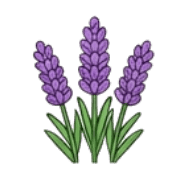019