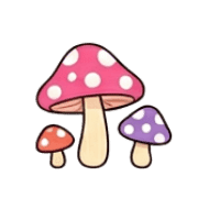 018