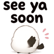 036