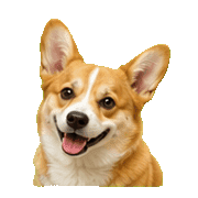 002