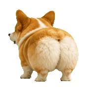 021