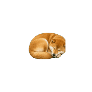 006