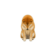 007